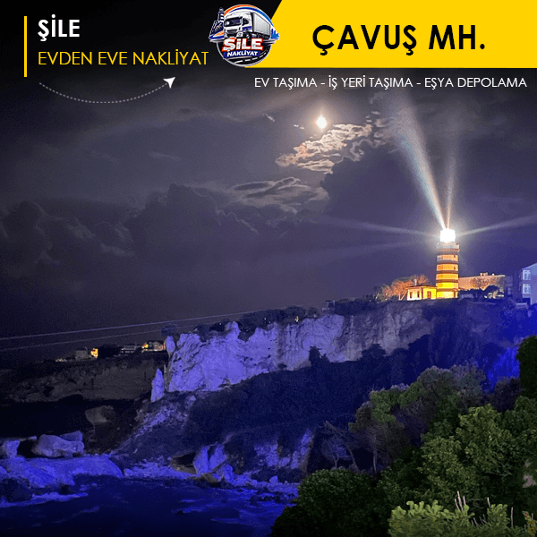 Çavuş Mahallesi Hızlı ve Güvenli Nakliyat.